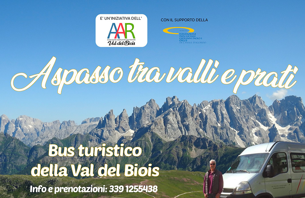 bus turistico