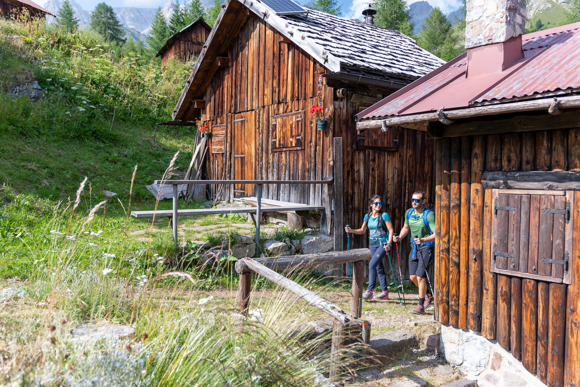 Trekking Falcade Valfredda